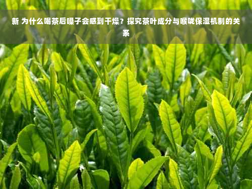 新 为什么喝茶后嗓子会感到干燥？探究茶叶成分与喉咙保湿机制的关系