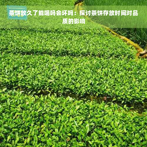 茶饼放久了能喝吗会坏吗：探讨茶饼存放时间对品质的影响