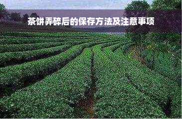 茶饼弄碎后的保存方法及注意事项