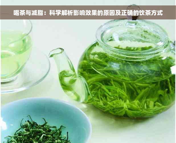 喝茶与减脂：科学解析影响效果的原因及正确的饮茶方式