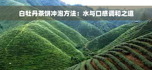 白牡丹茶饼冲泡方法：水与口感调和之道