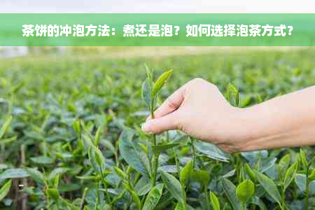 茶饼的冲泡方法：煮还是泡？如何选择泡茶方式？