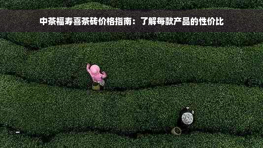 中茶福寿喜茶砖价格指南：了解每款产品的性价比