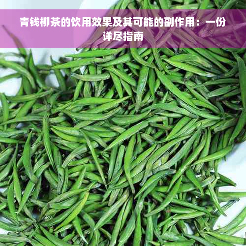 青钱柳茶的饮用效果及其可能的副作用：一份详尽指南