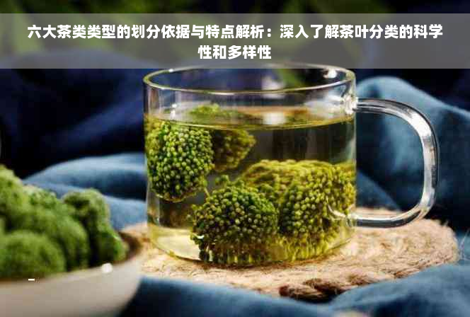 六大茶类类型的划分依据与特点解析：深入了解茶叶分类的科学性和多样性