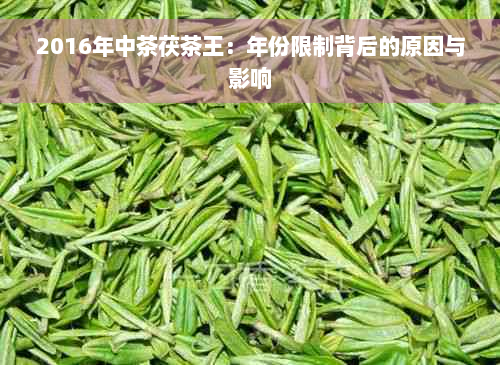 2016年中茶茯茶王：年份限制背后的原因与影响