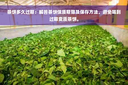 茶饼多久过期：解答茶饼保质期限及保存方法，避免喝到过期变质茶饼。