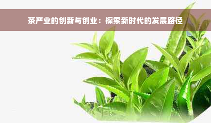 茶产业的创新与创业：探索新时代的发展路径