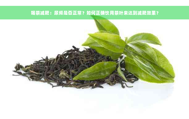 喝茶减肥：尿频是否正常？如何正确饮用茶叶来达到减肥效果？