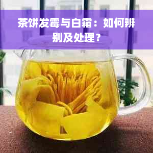 茶饼发霉与白霜：如何辨别及处理？