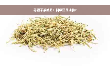 碎银子茶减肥：科学还是迷信？