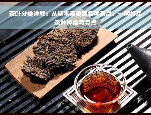 茶叶分类详解：从基本茶类到特种茶品，一网打尽茶叶种类与特点