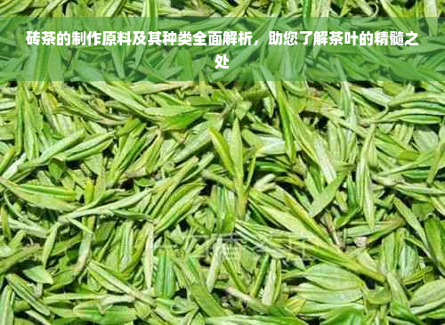 砖茶的制作原料及其种类全面解析，助您了解茶叶的精髓之处