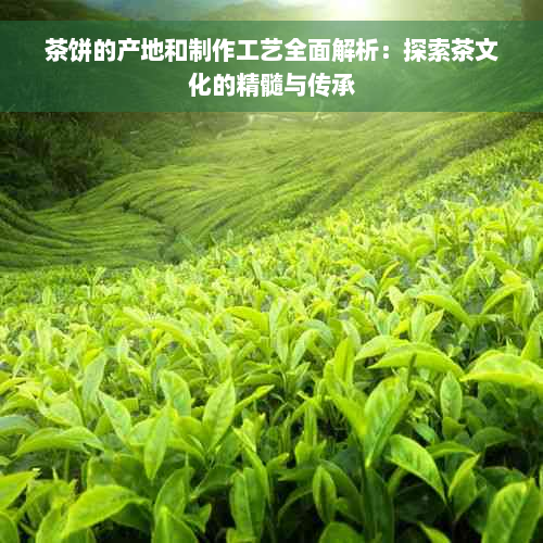 茶饼的产地和制作工艺全面解析：探索茶文化的精髓与传承