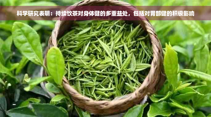 科学研究表明：持续饮茶对身体健的多重益处，包括对胃部健的积极影响