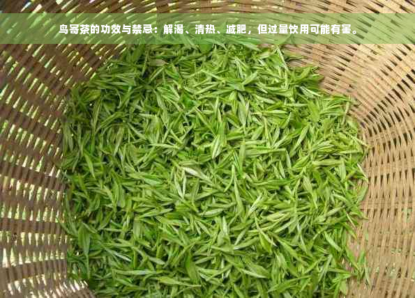 鸟寄茶的功效与禁忌：解渴、清热、减肥，但过量饮用可能有害。