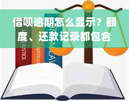 借呗逾期怎么显示？额度、还款记录都包含哪些信息？