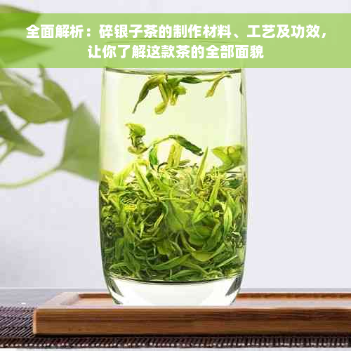 全面解析：碎银子茶的制作材料、工艺及功效，让你了解这款茶的全部面貌