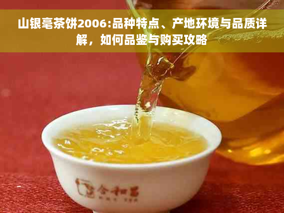 山银毫茶饼2006:品种特点、产地环境与品质详解，如何品鉴与购买攻略