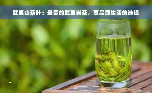 武夷山茶叶：最贵的武夷岩茶，高品质生活的选择