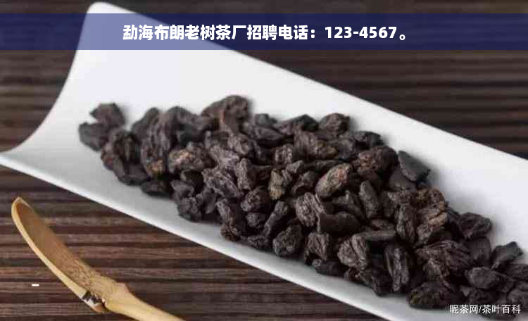 勐海布朗老树茶厂招聘电话：123-4567。