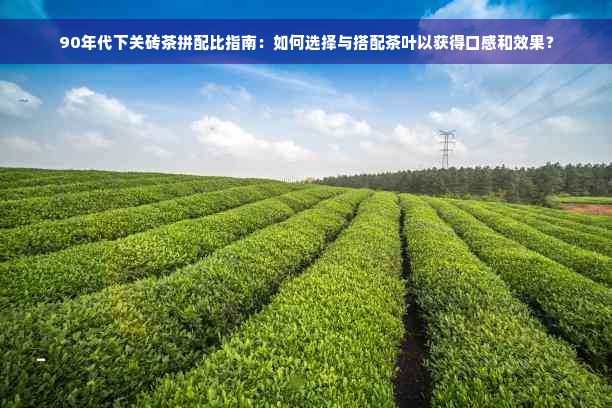 90年代下关砖茶拼配比指南：如何选择与搭配茶叶以获得口感和效果？