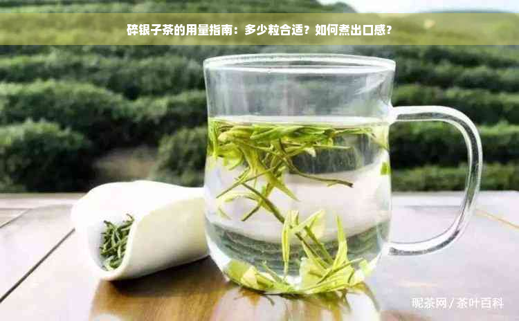 碎银子茶的用量指南：多少粒合适？如何煮出口感？