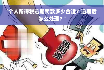 '个人所得税逾期罚款多少合适？逾期后怎么处理？'