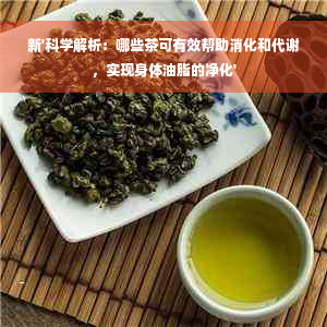 新'科学解析：哪些茶可有效帮助消化和代谢，实现身体油脂的净化'