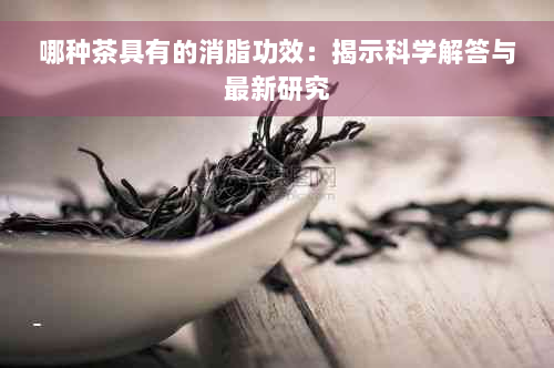 哪种茶具有的消脂功效：揭示科学解答与最新研究