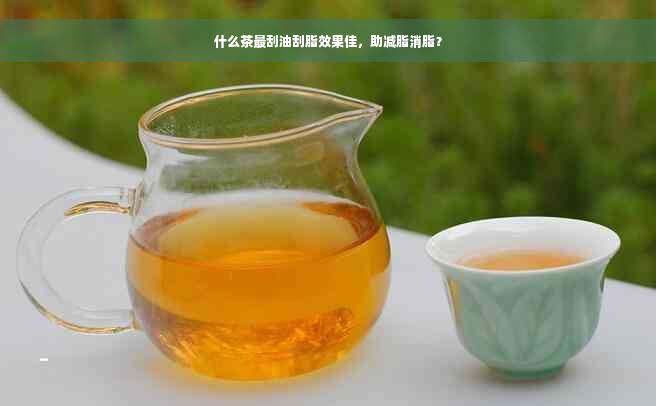 什么茶最刮油刮脂效果佳，助减脂消脂？