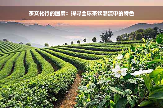 茶文化行的国度：探寻全球茶饮潮流中的特色