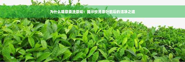 为什么喝茶要洗茶垢：揭示饮用茶叶前后的洁净之道