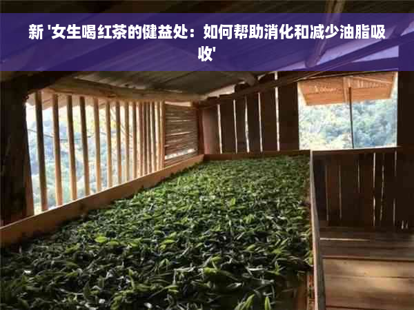 新 '女生喝红茶的健益处：如何帮助消化和减少油脂吸收'