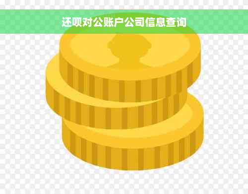 还款对公账户公司信息查询