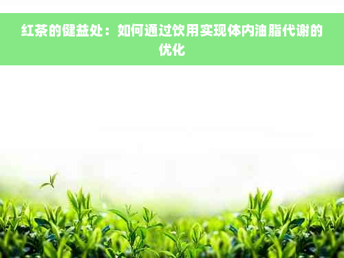 红茶的健益处：如何通过饮用实现体内油脂代谢的优化