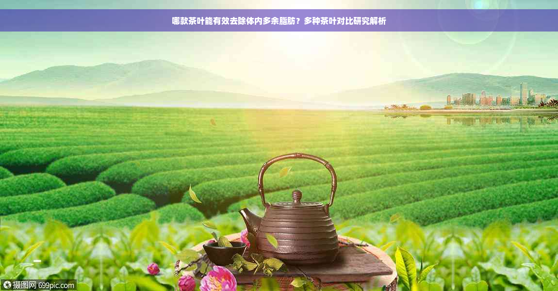 哪款茶叶能有效去除体内多余脂肪？多种茶叶对比研究解析