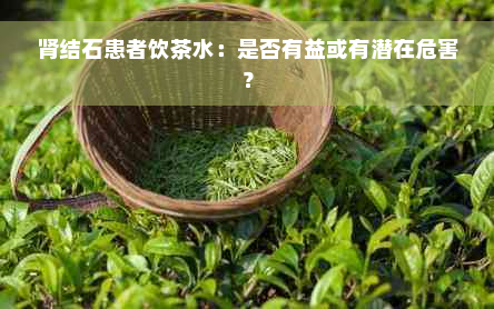 肾结石患者饮茶水：是否有益或有潜在危害？