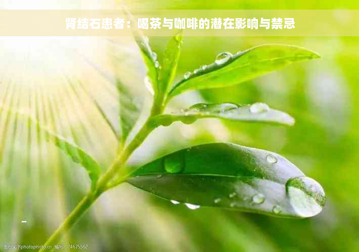 肾结石患者：喝茶与咖啡的潜在影响与禁忌