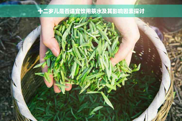 十二岁儿是否适宜饮用茶水及其影响因素探讨