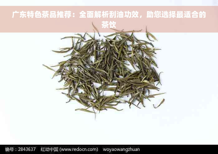 广东特色茶品推荐：全面解析刮油功效，助您选择最适合的茶饮