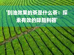 '刮油效果的茶是什么茶：探索有效的降脂利器'