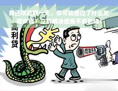 新还款逾期一天，你可能错过了什么关键步骤？立刻解决避免不良影响！