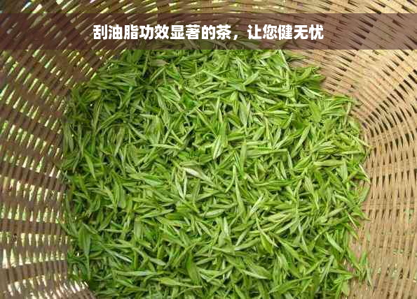 刮油脂功效显著的茶，让您健无忧