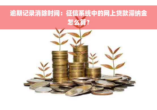 逾期记录消除时间：征信系统中的网上贷款滞纳金怎么算？