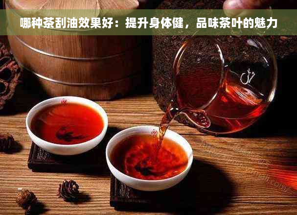 哪种茶刮油效果好：提升身体健，品味茶叶的魅力