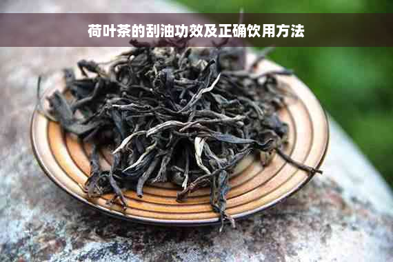 荷叶茶的刮油功效及正确饮用方法