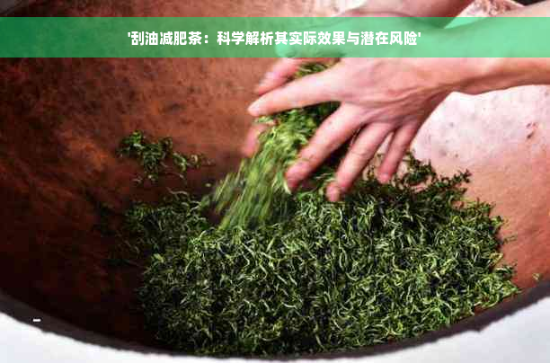 '刮油减肥茶：科学解析其实际效果与潜在风险'