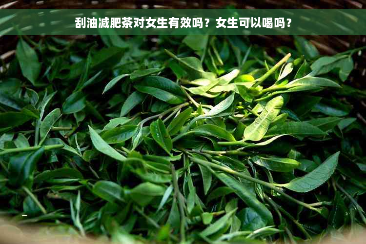 刮油减肥茶对女生有效吗？女生可以喝吗？