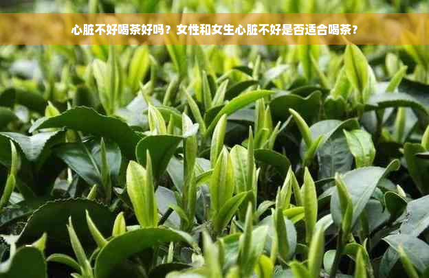 心脏不好喝茶好吗？女性和女生心脏不好是否适合喝茶？